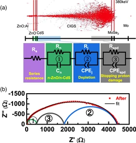 Characterization on proton irradiation-damaged interfaces of CIGS-related multilayered compound semiconductors for solar cells by EIS